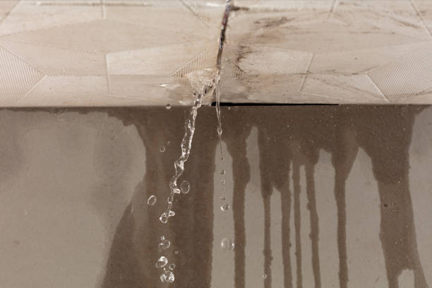 Professional Sewage Cleanup technician working in Barnardsville, NC